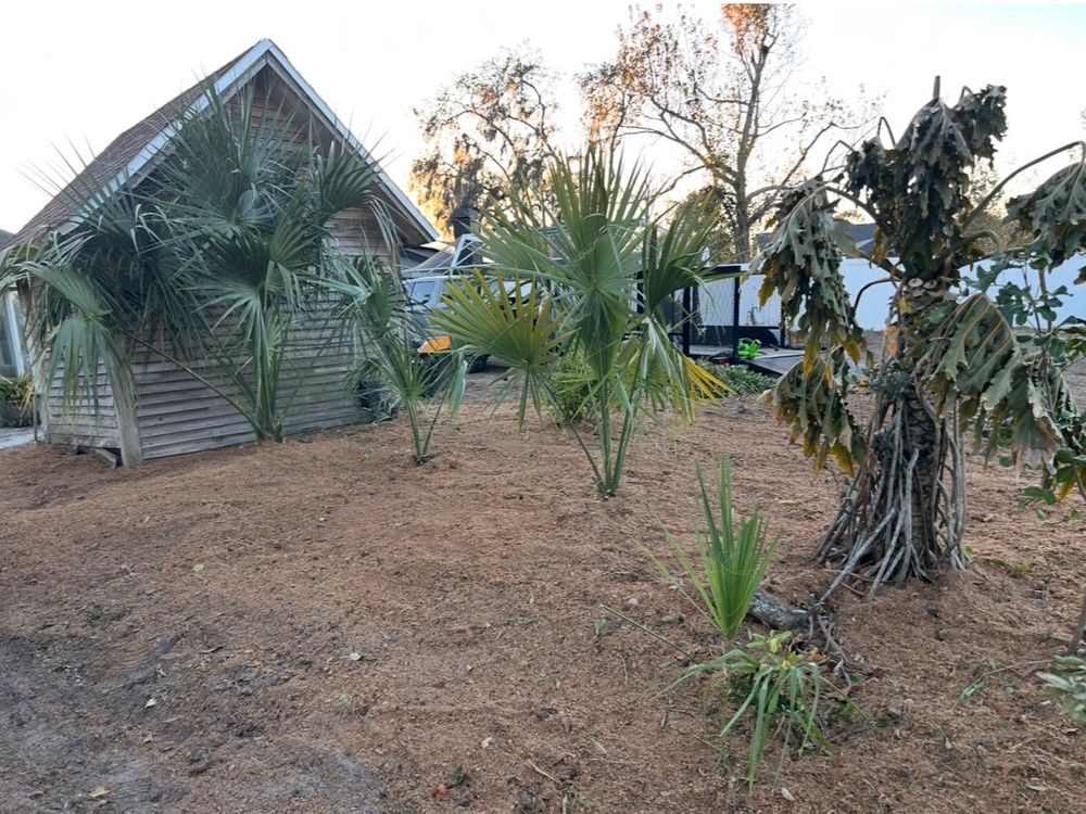 All Photos for Greene Acres Stump Grinding in Plant City, FL