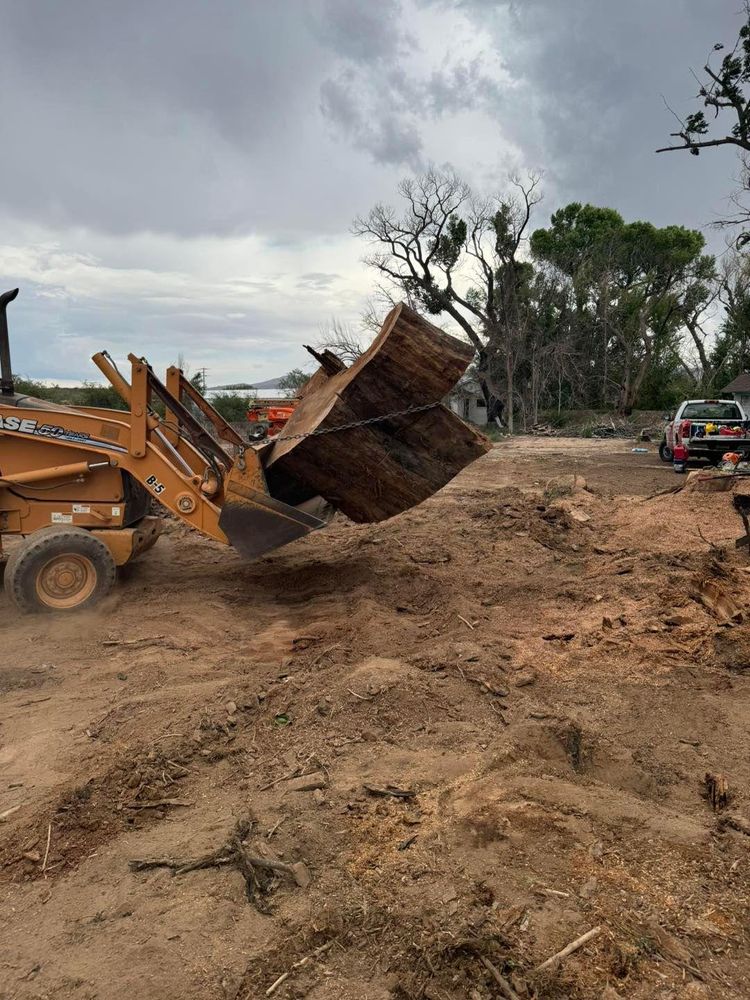 Stump Removal for By Faith Landscaping in Sierra Vista, AZ