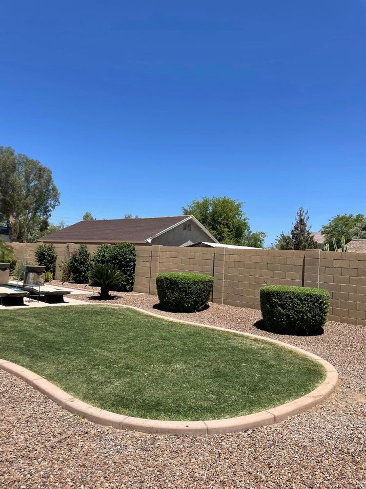 Revitalize your landscape with our expert shrub trimming service. Our team will shape and prune your shrubs to enhance their health and appearance, transforming your outdoor space into a beautiful oasis. for CTHA Landscape in Phoenix, AZ