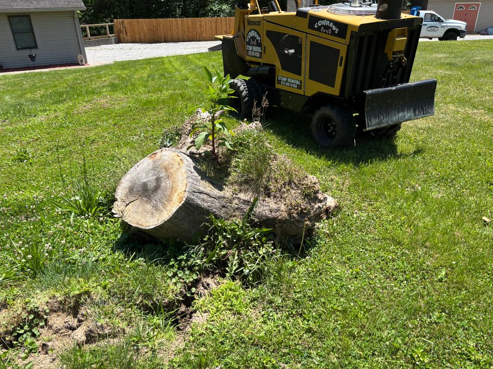 All Photos for Conrad's Stump Removal in Columbus, IN