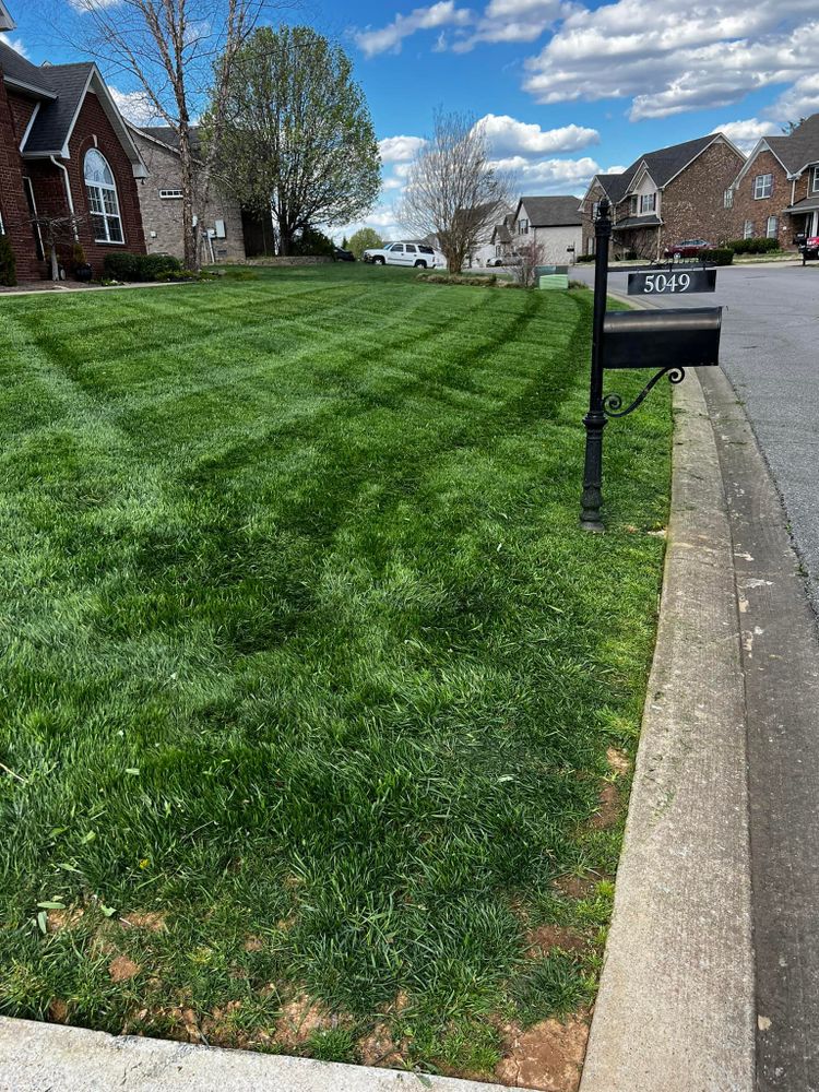 Lawn Care for Team Bard Lawn Care SVC in Woodbury, TN