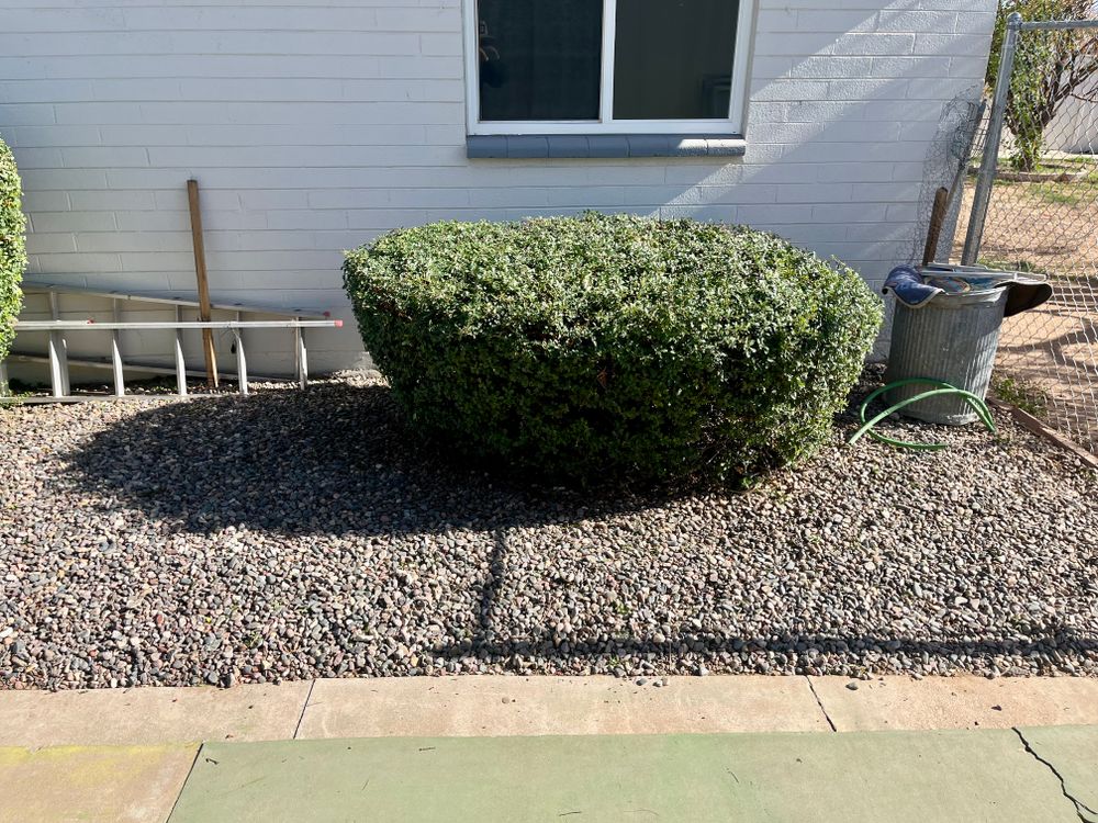 All Photos for Grand Canyon State Landscape Inc. in Surprise, AZ