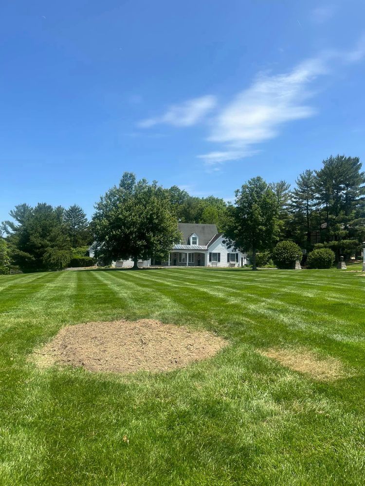All Photos for Cincinnati’s Finest Landscape Services LLC in Cincinnati, OH