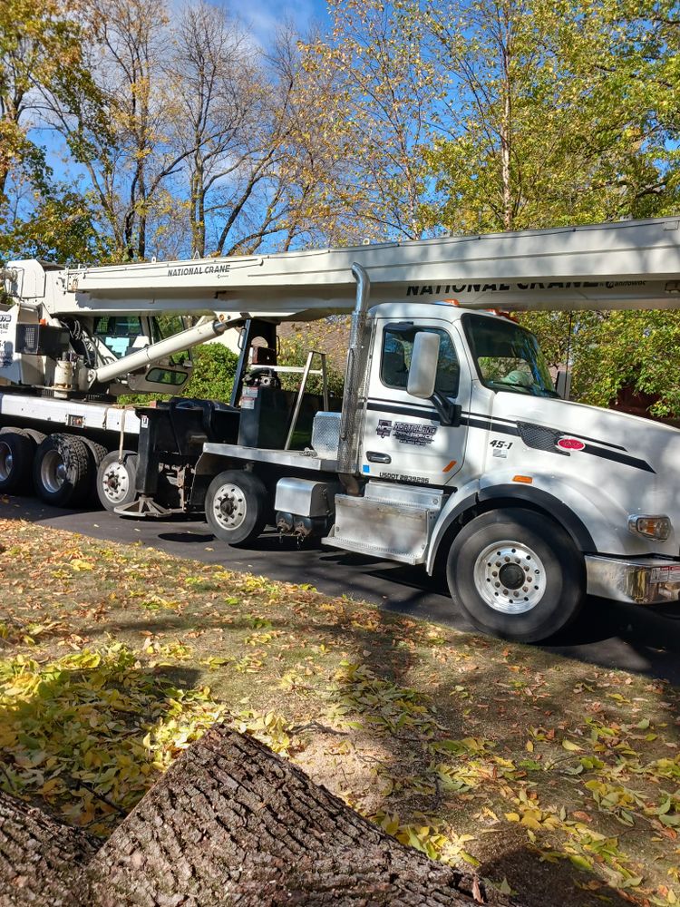 All Photos for Buffalo Family Tree Care in Buffalo, MN