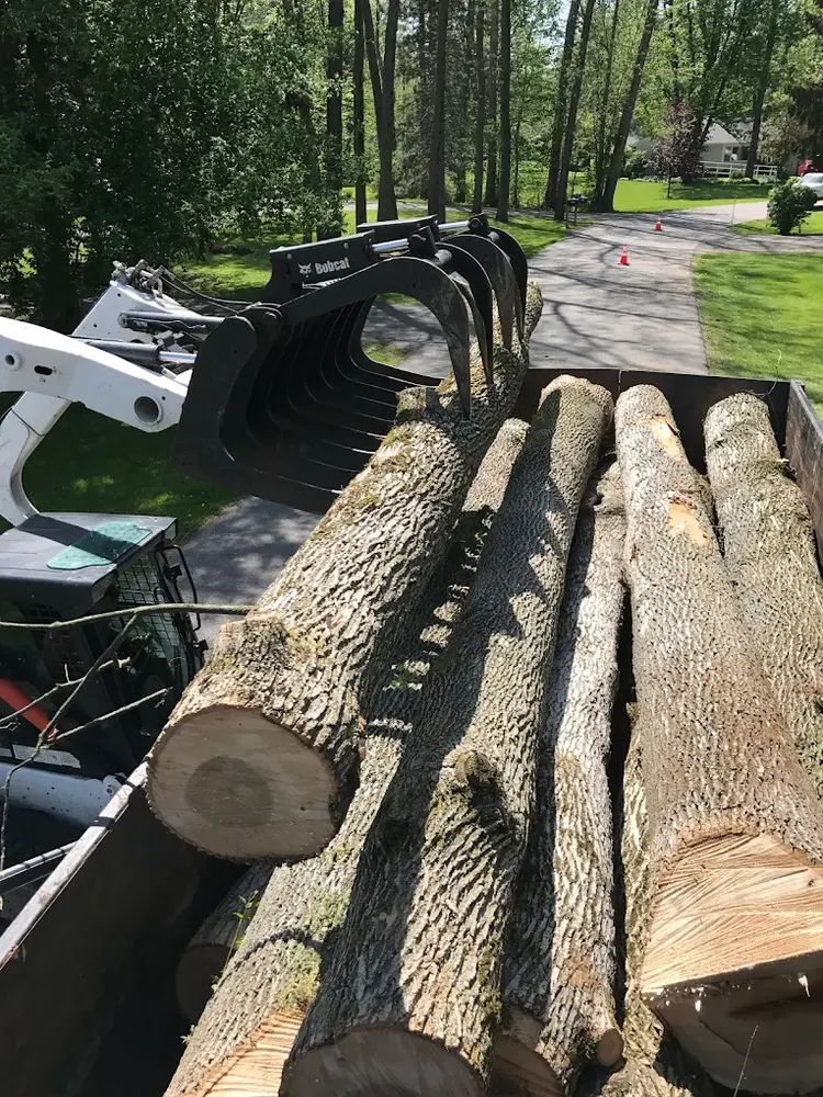 Tree Services for Mays Tree and Stump Removal in Alden, NY