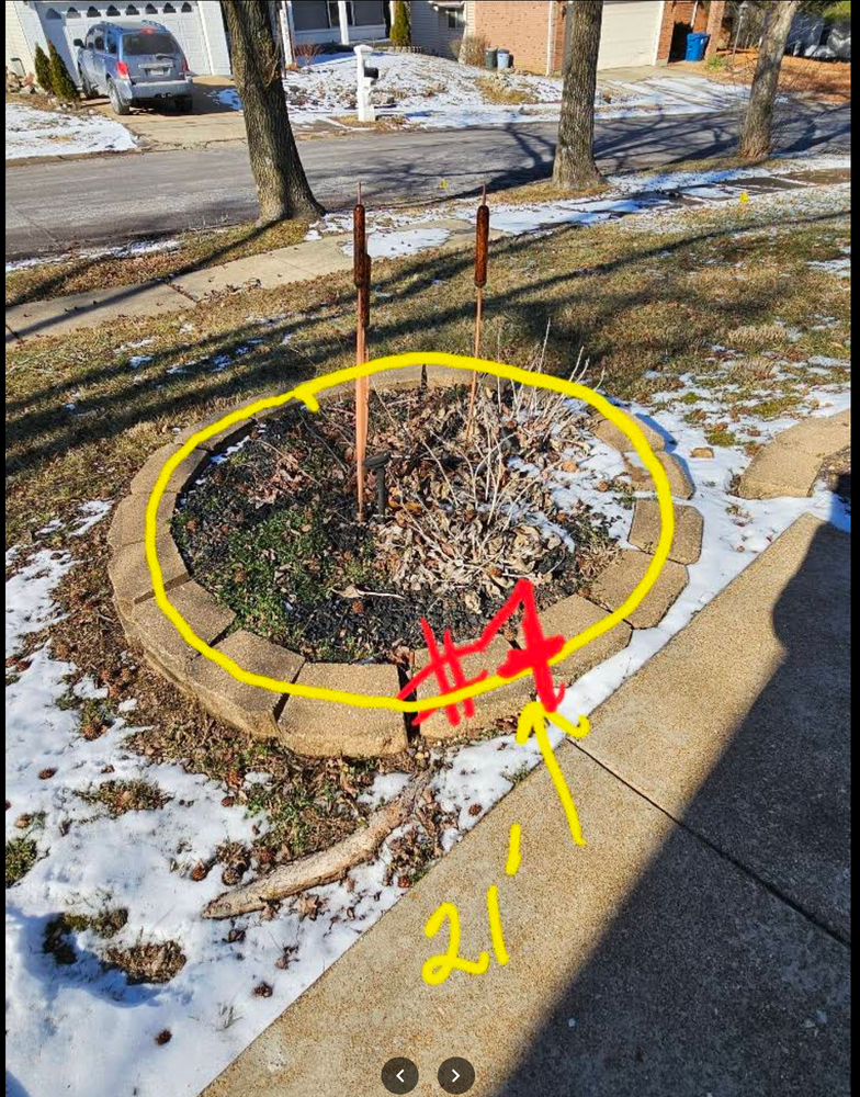 All Photos for Jackson Lawn Services LLC in St Louis, MO