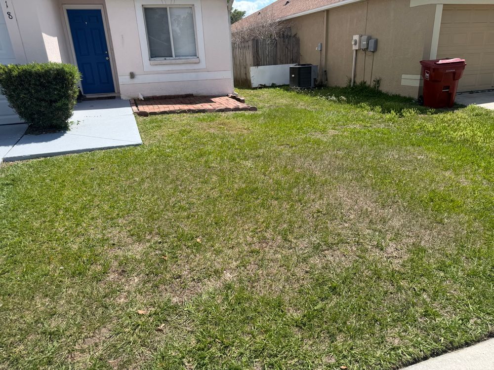 All Photos for The Yardman in Tampa, FL