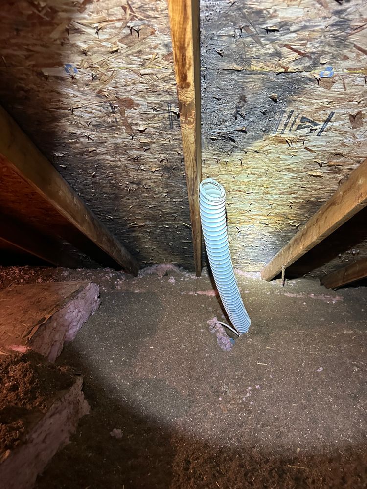 All Photos for RFS Home Inspections in Bowling Green, KY