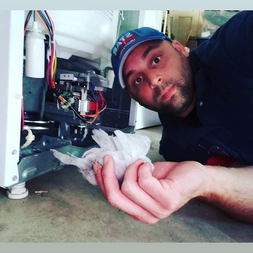 All Photos for STAR Services Appliance Repair And HVAC in Cottageville, SC