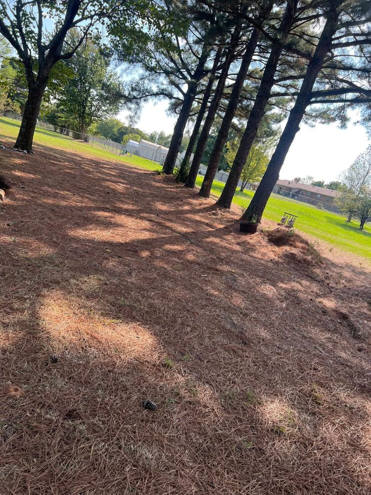 Landscaping  for Zac’s Lawn and Landscaping in Fort Smith, AR