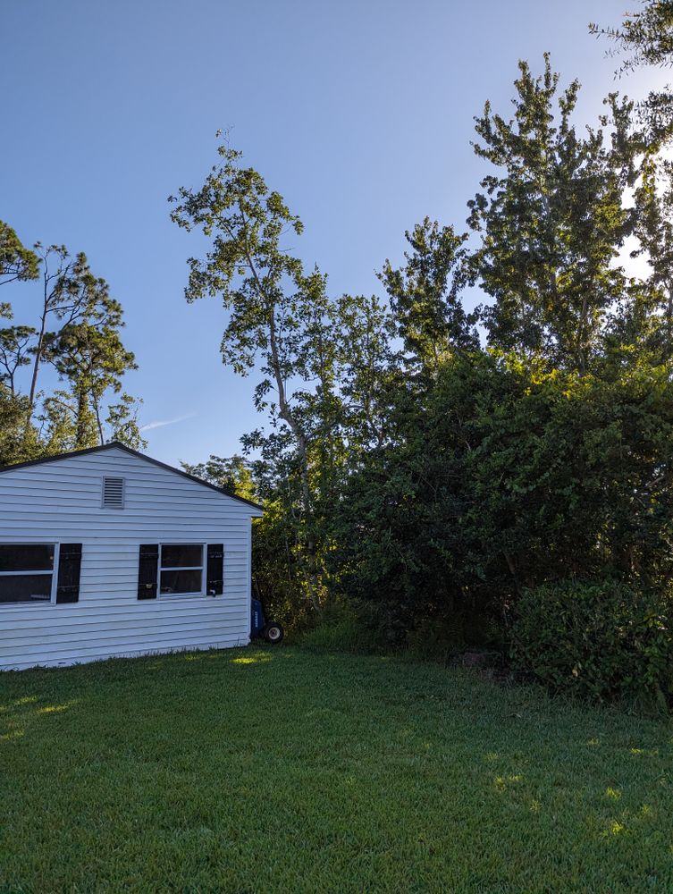 All Photos for Regal Tree Service and Stump Grinding in Wauchula, FL