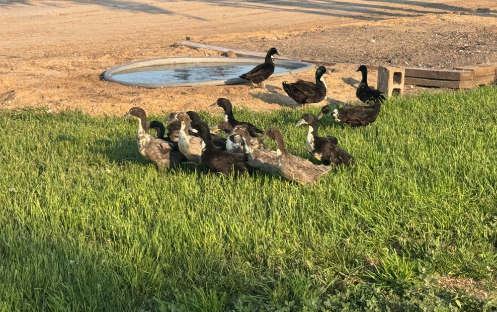 All Photos for HDE Services LLC in Grand Island, NE