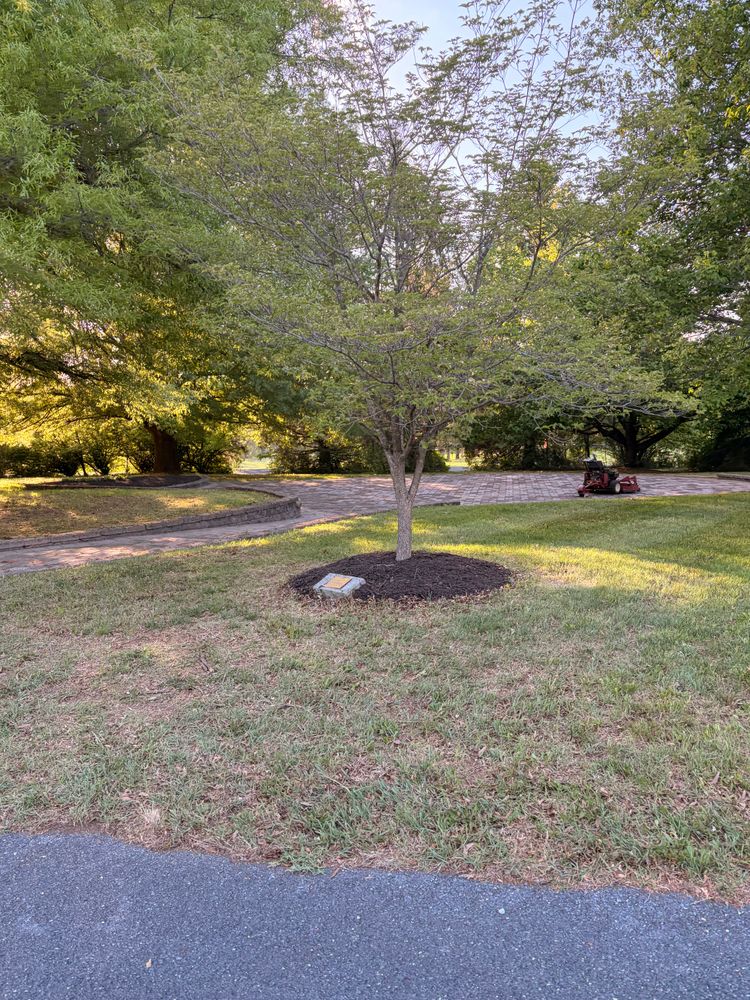 All Photos for Valencia’s Lawncare in Charlottesville, VA