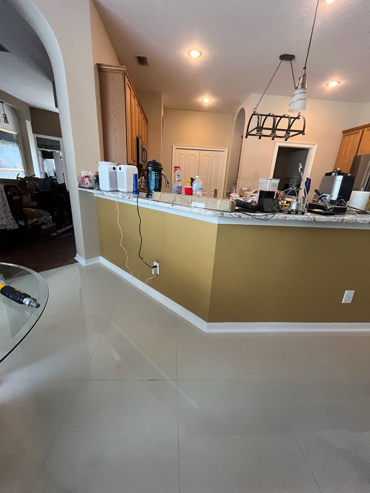 All Photos for Escorpio Painting in Tampa, FL