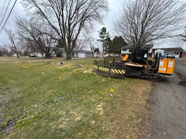 All Photos for S.H. Tree Service LLC in Hilton, NY