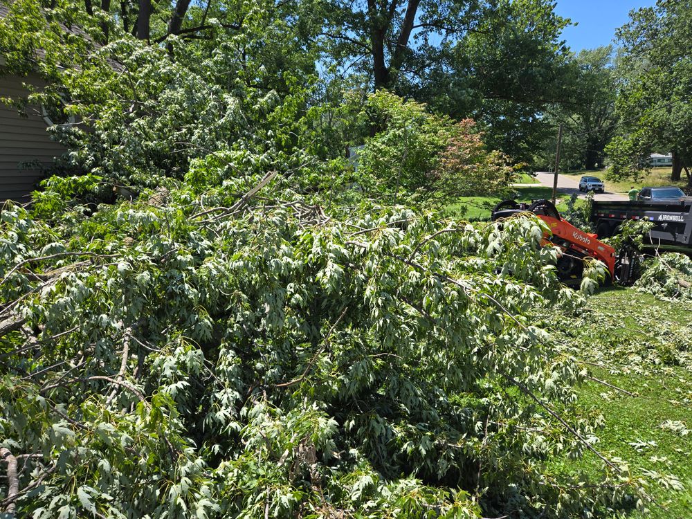 All Photos for Lawn Ranger Yard And Tree Service LLC in Ottumwa, IA