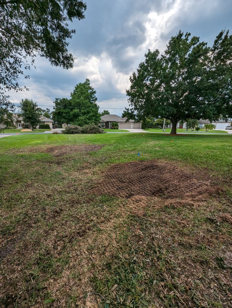 All Photos for Regal Tree Service and Stump Grinding in Wauchula, FL