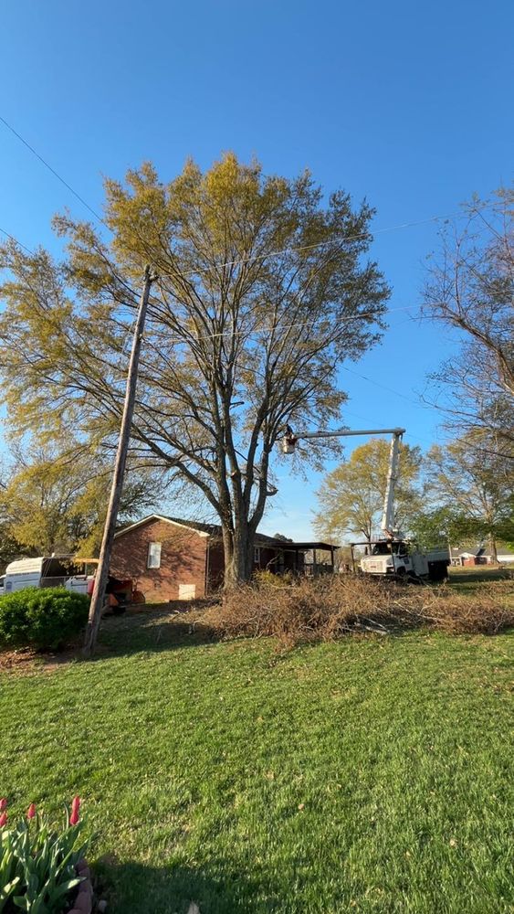 All Photos for Brooks Tree Service in Casar, NC