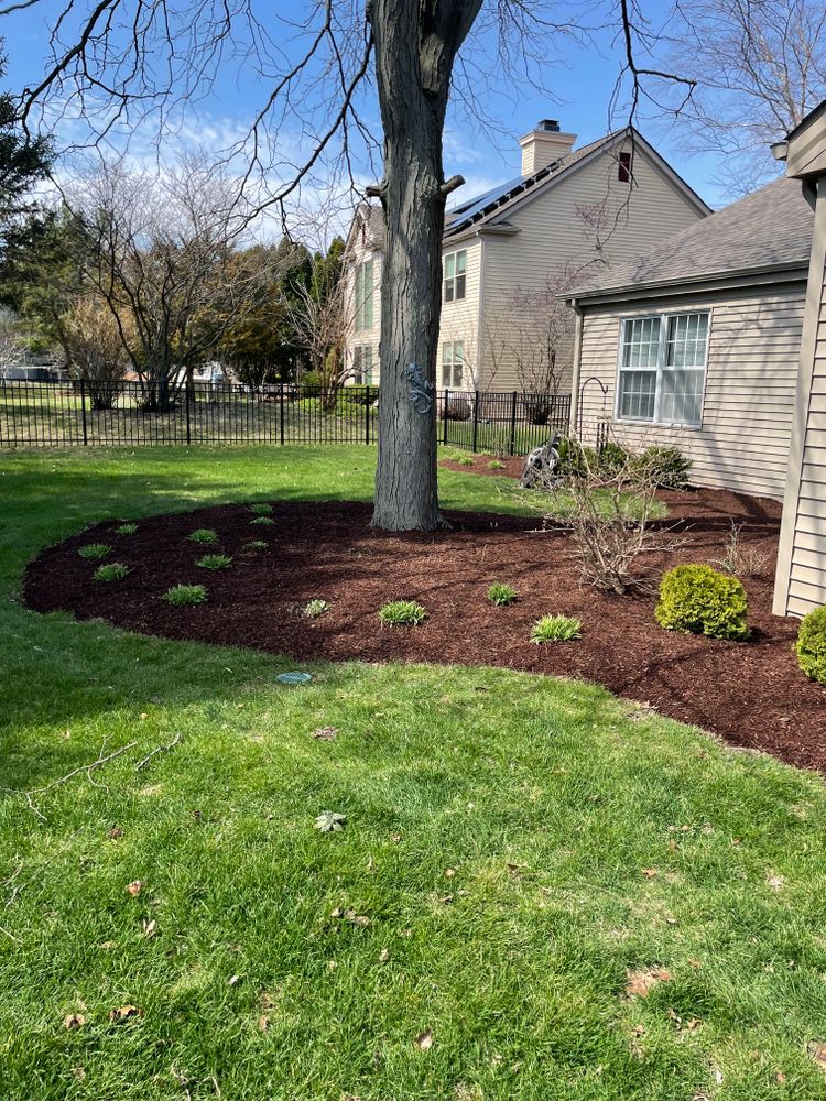 All Photos for MDR Landscaping in Urbana, IL