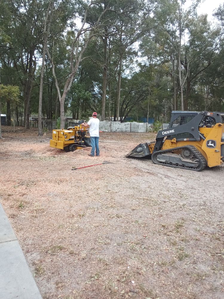 All Photos for Asbell's Tree & Land Services in Gilchrist County, FL
