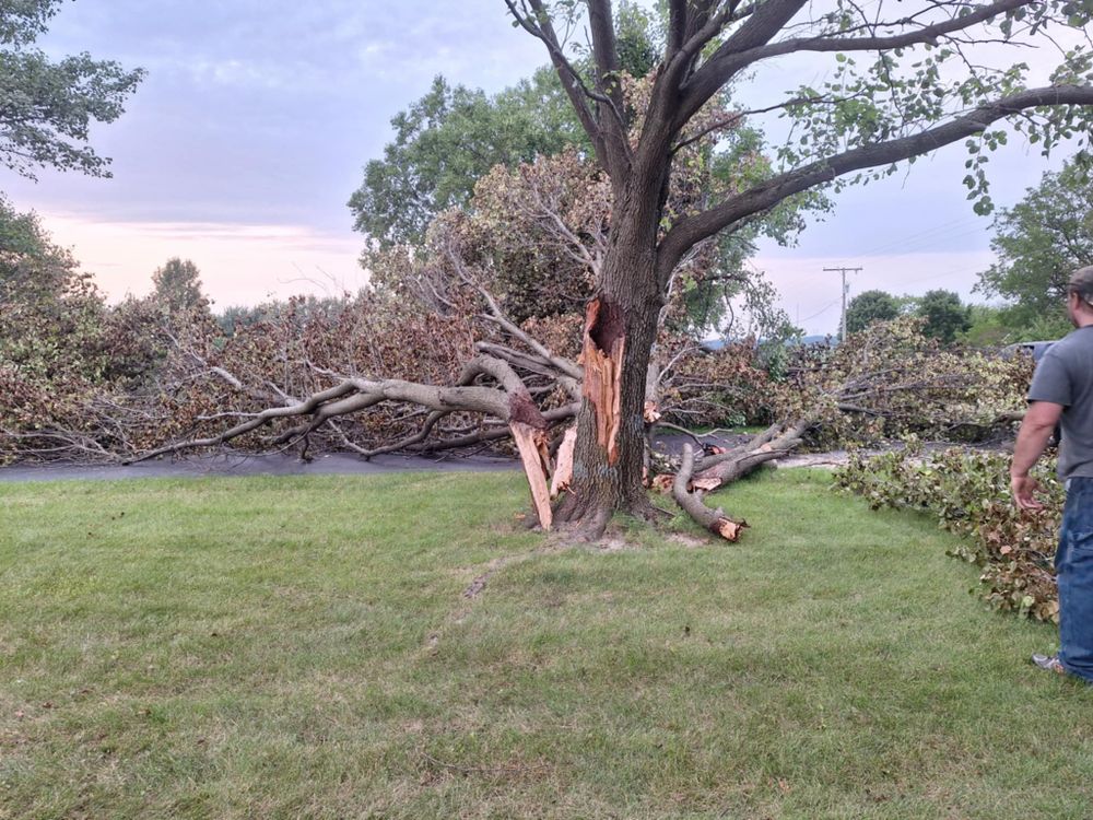Emergency Storm Work for Highborn Tree Service in Wheatfield, IN