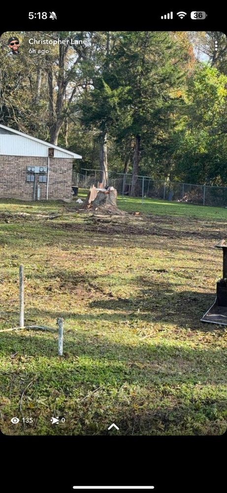 All Photos for Morace Tree Service in Natchez,,  MS