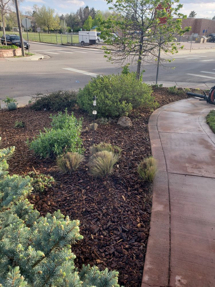 All Photos for JS Landscaping Colorado in Denver, CO