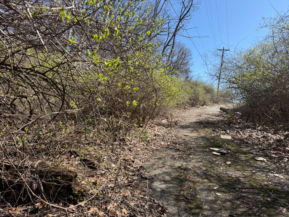 All Photos for A1 Bush Hogging & Lawn Service in London, OH