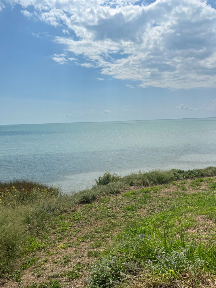 All Photos for Kinetic Pools in Corpus Christi, TX