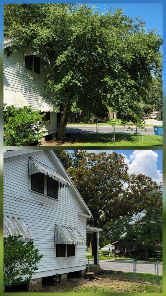 All Photos for Ken's Elite Cutters LLC  in Breaux Bridge, LA