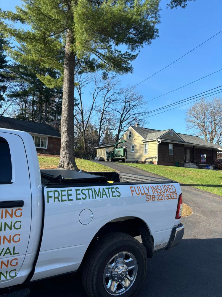 All Photos for T's Trees in Albany, NY