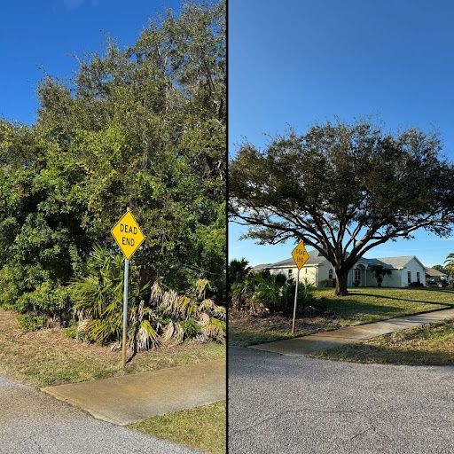 All Photos for Lemon Bay Tree Service  in Englewood, FL