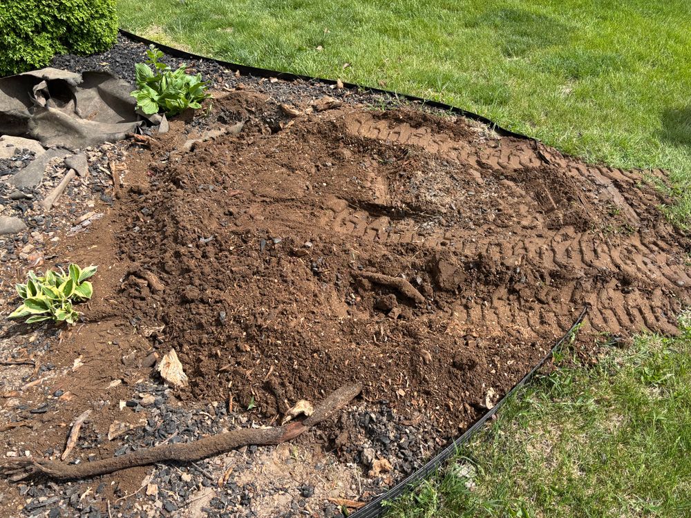 All Photos for Conrad's Stump Removal in Columbus, IN