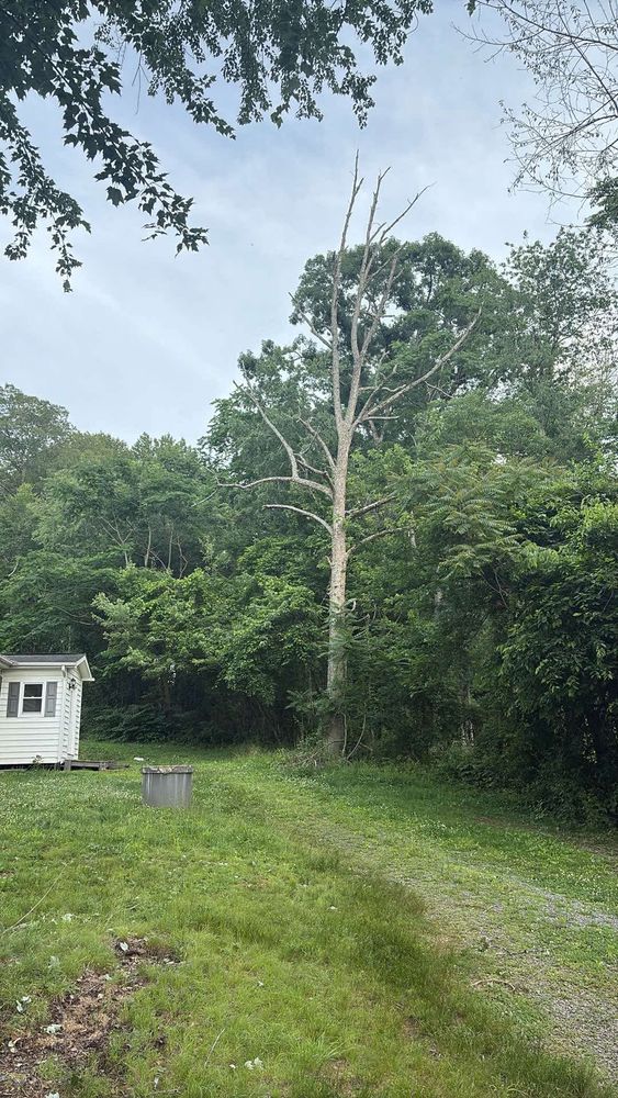All Photos for Mountainside Property Services LLC in Warrenton, VA
