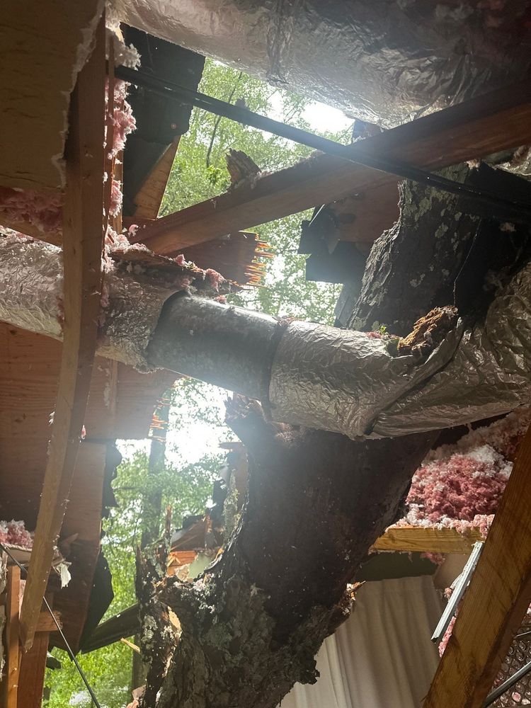 All Photos for Bulldawg Disaster Response in Atlanta, GA