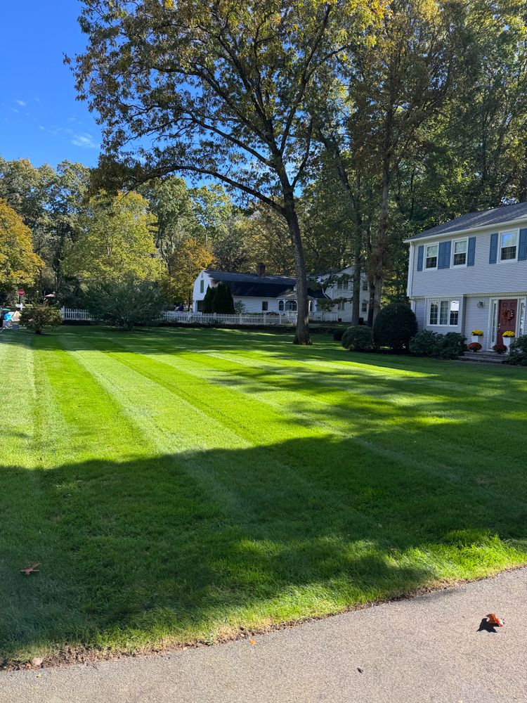All Photos for Adams Landscaping in Springfield, MA