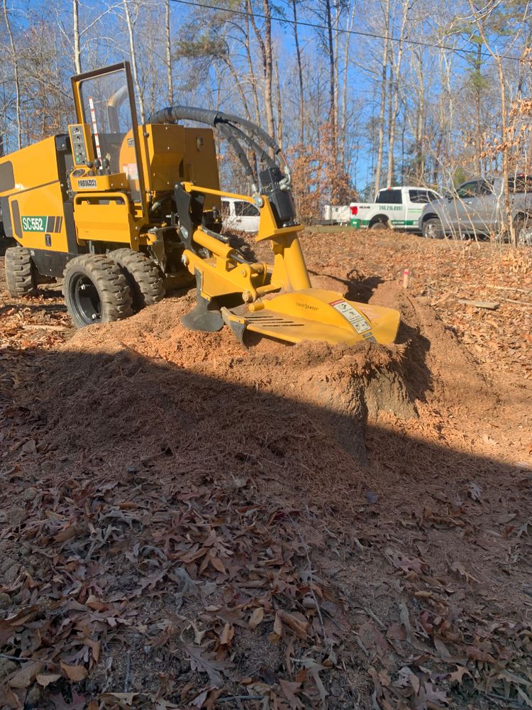 We specialize in complete stump removal, ensuring your property is free of unsightly remnants after tree removal. Trust us to grind and remove stumps efficiently and safely. for Branch Out Tree Care LLC in Fredericksburg, VA