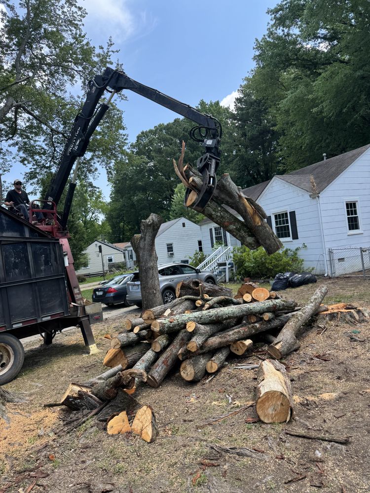 All Photos for Rawls Tree Care in Richmond, VA