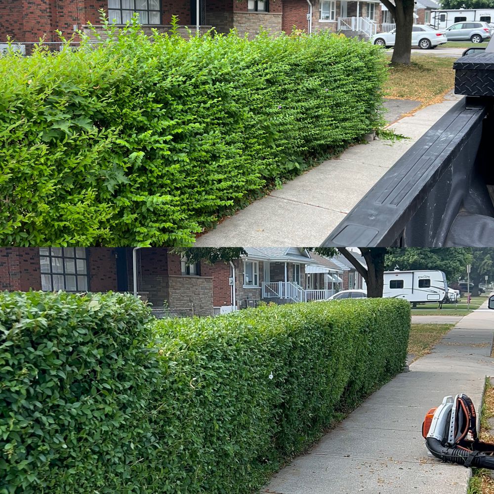 All Photos for CMN Exterior Maintenance in Hamilton, ON