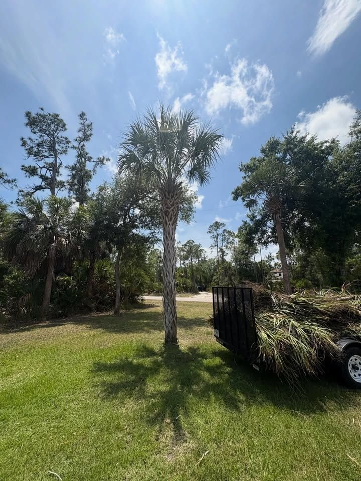 All Photos for R&R GreenWorks in North Port, FL