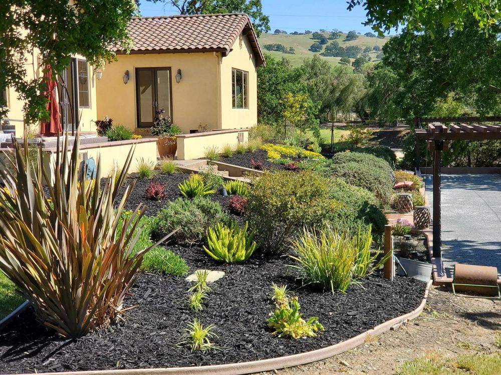 Themed Horticultural Designs for Martin Stanko Landscape Construction in Livermore, CA