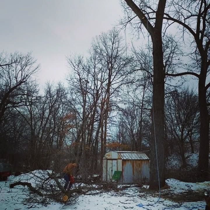 Tree Removal for Highborn Tree Service in Wheatfield, IN