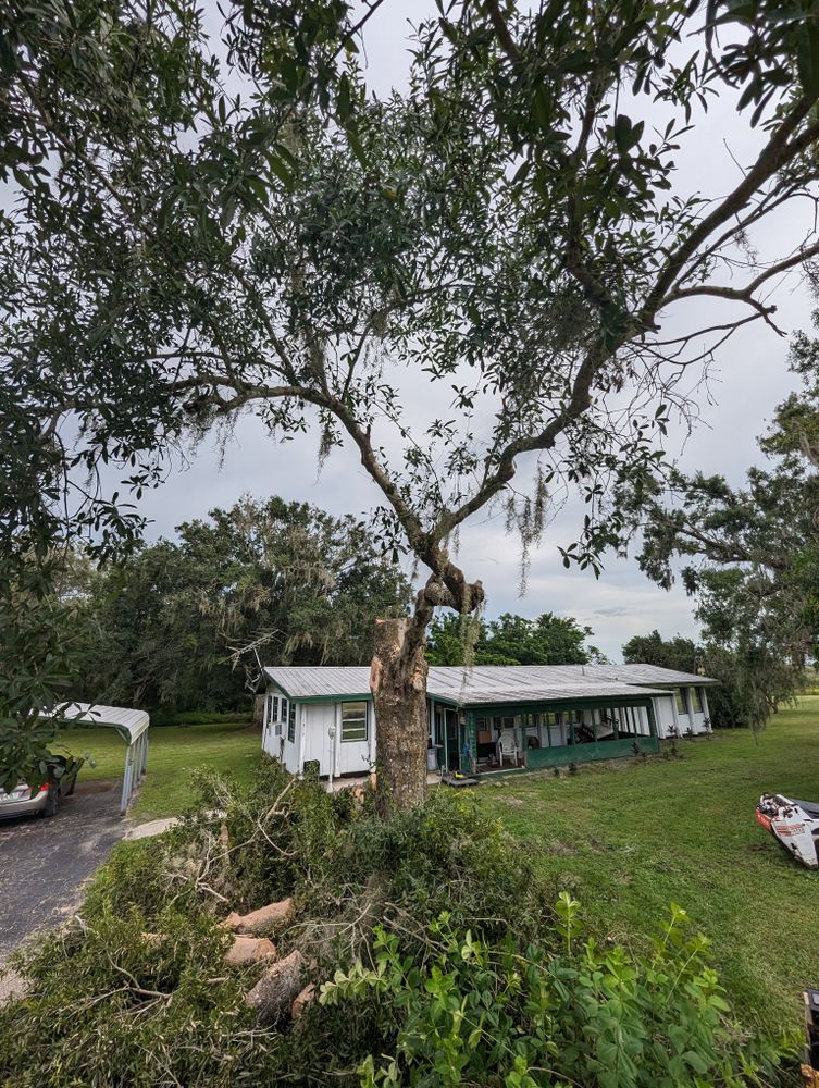 All Photos for Regal Tree Service and Stump Grinding in Wauchula, FL