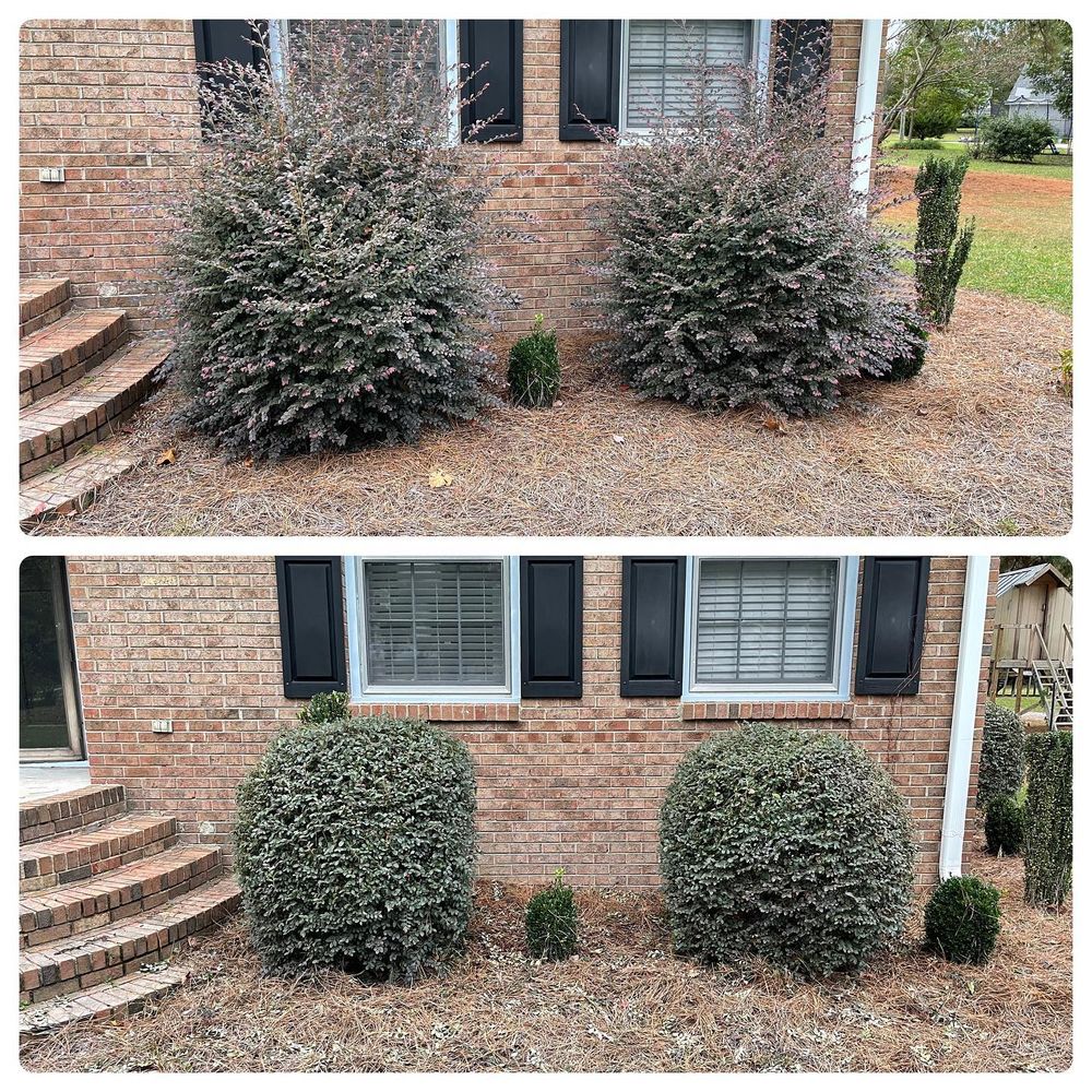 Fall Clean Up for Sabre's Edge Lawn Care in Greenville, NC