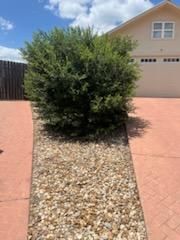 All Photos for Oviedo Land & Garden in Bastrop, TX