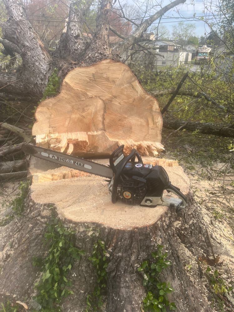 All Photos for J.P Landscaping and excavation in Chattanooga, TN