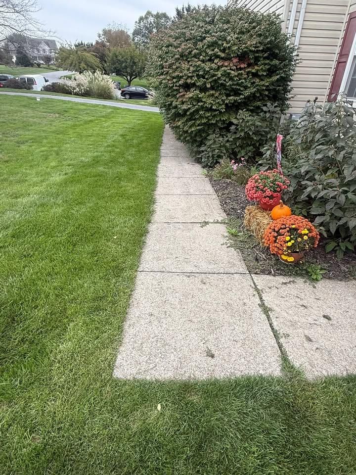 All Photos for RDR Landscaping in Baltimore, MD