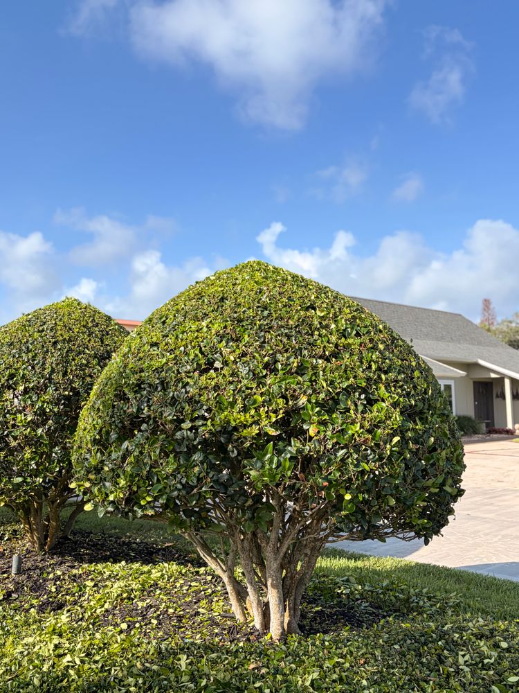 All Photos for Vanic's Landscaping in Port Orange, FL