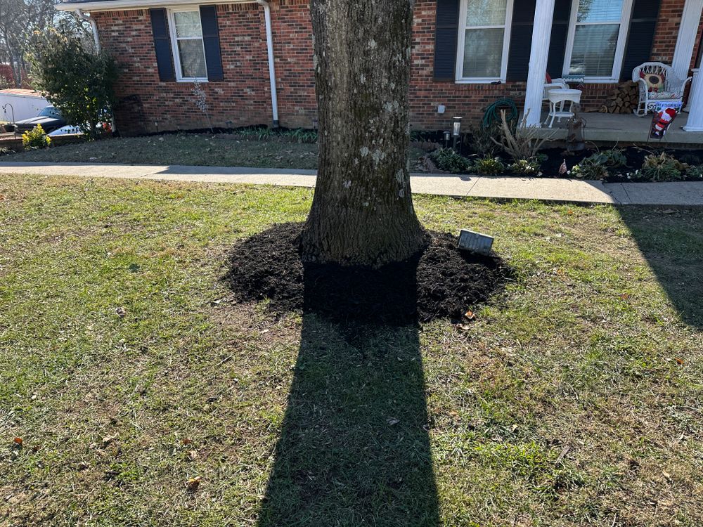 All Photos for Tactical Lawn Maintenance in  Murfreesboro ,  TN