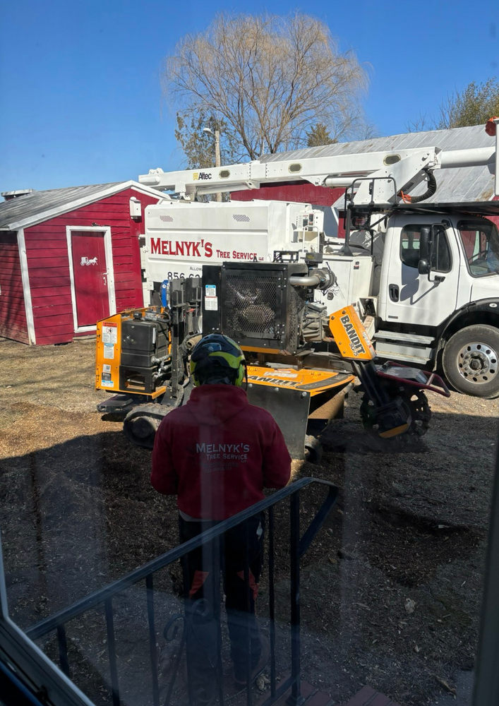 All Photos for Melnyk’s Tree Service in Salem County, NJ